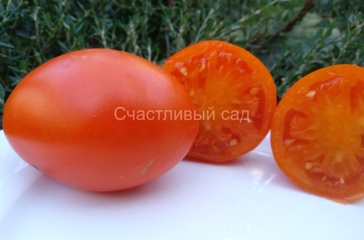Yellow Cookie (Желтая булочка)