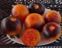 Orange Blue
