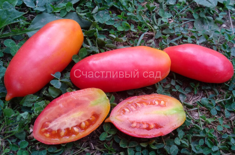 Розовая сосулька Розовая сосулька