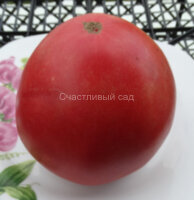 Ludmilla’s Pink Heart (Розовое Сердце Людмилы)
