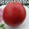 Ludmilla’s Pink Heart (Розовое Сердце Людмилы) Ludmilla’s Pink Heart (Розовое Сердце Людмилы)