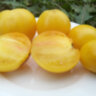 Dwarf Lemon Ice (Гном Лимонный Лед) Dwarf Lemon Ice (Гном Лимонный Лед)