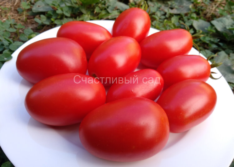 Юнкер Юнкер