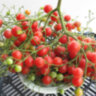 Pink Quarts Multiflora (Розовый кварц Мультифлора) Pink Quarts Multiflora (Розовый кварц Мультифлора)