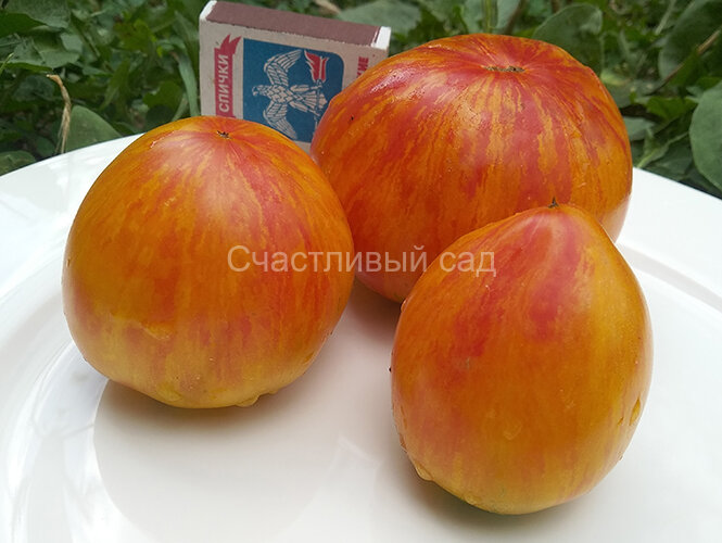 Beauty Queen Heart (Cердце Королевы красоты) Beauty Queen Heart (Cердце Королевы красоты)