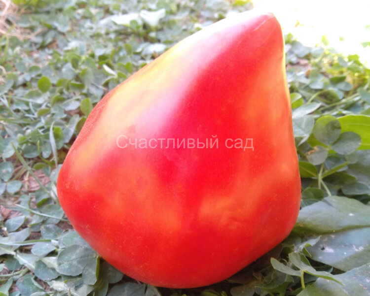 Кызыл Тау