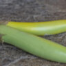 Баклажан Louisiana long green (Луизианский длинный зеленый) Баклажан Louisiana long green (Луизианский длинный зеленый)