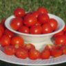 Riesentraube (Гигантская гроздь) Riesentraube (Гигантская гроздь)