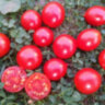 Riesentraube (Гигантская гроздь) Riesentraube (Гигантская гроздь)