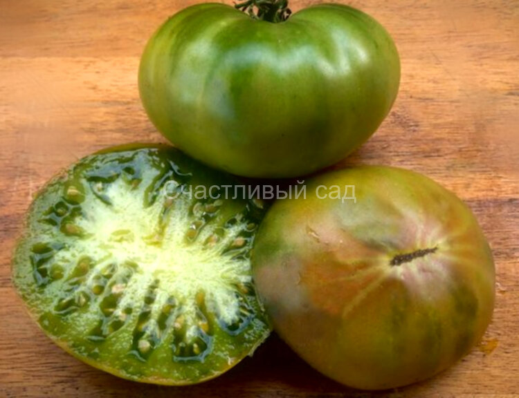 Cherokee Lime (Чероки лайм) Cherokee Lime (Чероки лайм)