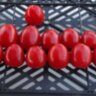 Tomatoberry (Клубничка) Tomatoberry (Клубничка)