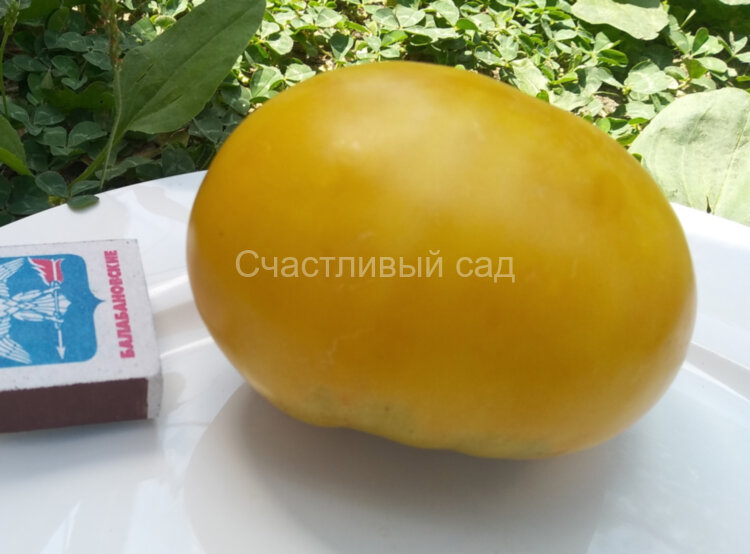 Moonshiner's Ball (Лунный Мяч) Moonshiner's Ball (Лунный Мяч)