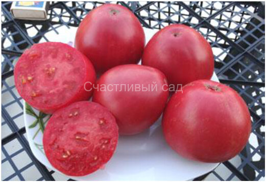 Tres Cantos (Трес Кантос, Три песни) Tres Cantos (Трес Кантос, Три песни)