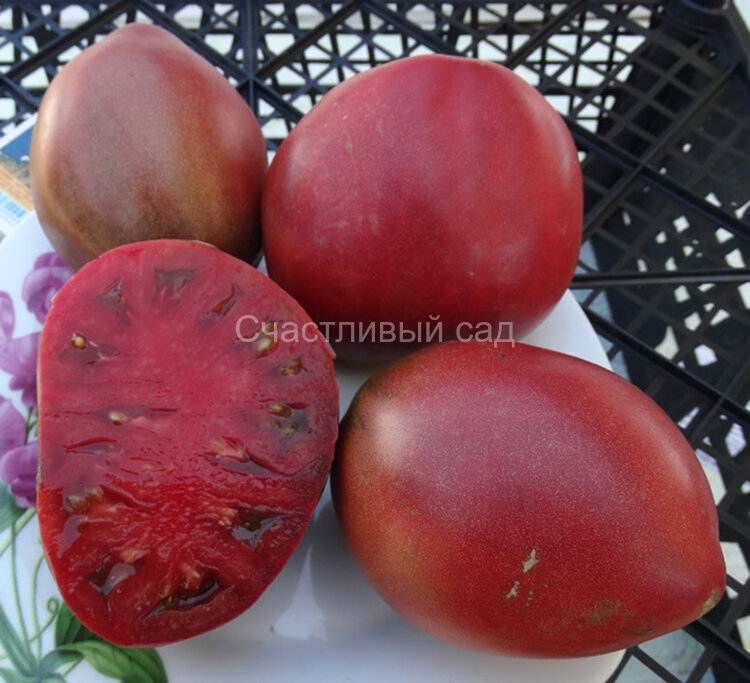 Dwarf Purple Heart (Гном Фиолетовое Сердце) Dwarf Purple Heart (Гном Фиолетовое Сердце)