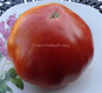 Demit de Rosoy (Демит де Росой)