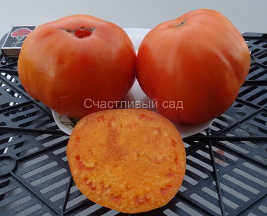 Orange Strawberry - 2 (Оранжевая клубника - 2) Orange Strawberry - 2 (Оранжевая клубника - 2)