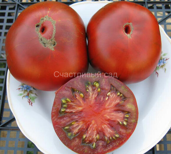 Watermelon black (Арбузный черный) Watermelon black (Арбузный черный)