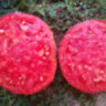 Delicious Hunt Strain (Восхитительная линия Ханта) Delicious Hunt Strain (Восхитительная линия Ханта)
