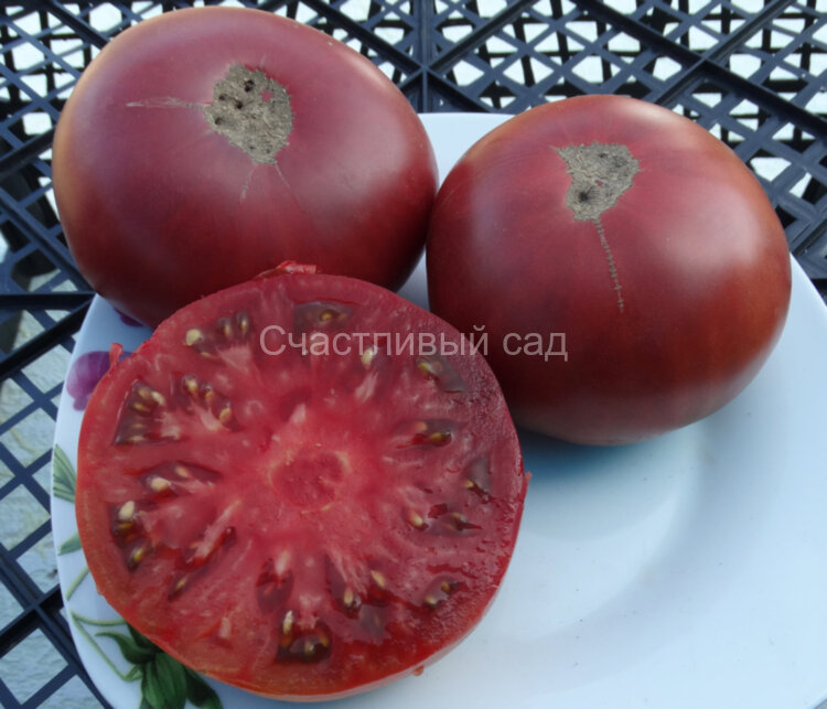 Кубанский черный Кубанский черный