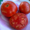 Watermelon (Арбуз) Watermelon (Арбуз)