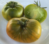 Зеленый ананас (Green Pineapple)