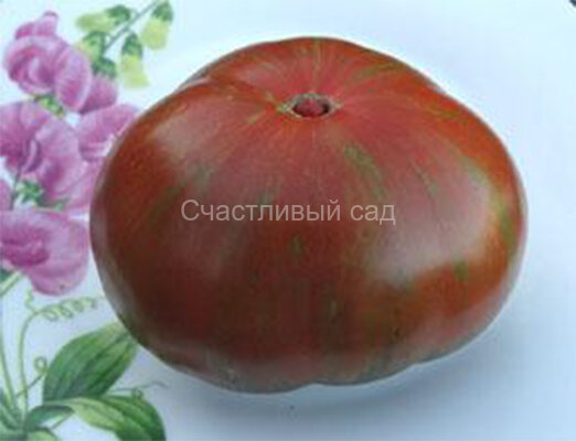 Hershey boar (Кабан Херши) Hershey boar (Кабан Херши)