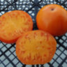 Strawberry German Yellow (Земляника немецкая желтая) Strawberry German Yellow (Земляника немецкая желтая)