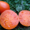 Strawberry German Yellow (Земляника немецкая желтая) Strawberry German Yellow (Земляника немецкая желтая)