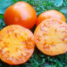 Strawberry German Yellow (Земляника немецкая желтая) Strawberry German Yellow (Земляника немецкая желтая)
