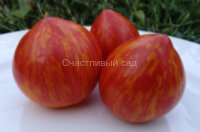 Dwarf Speckled Heart (Гном Крапчатое Сердце)