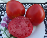 Kukla’s Portuguese Heart (Португальское сердце Куклы)