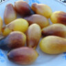 Indigo Kumquat (Индиго Кумкват)