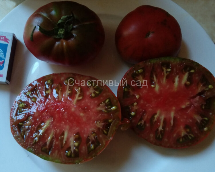 Черная магия Черная магия
