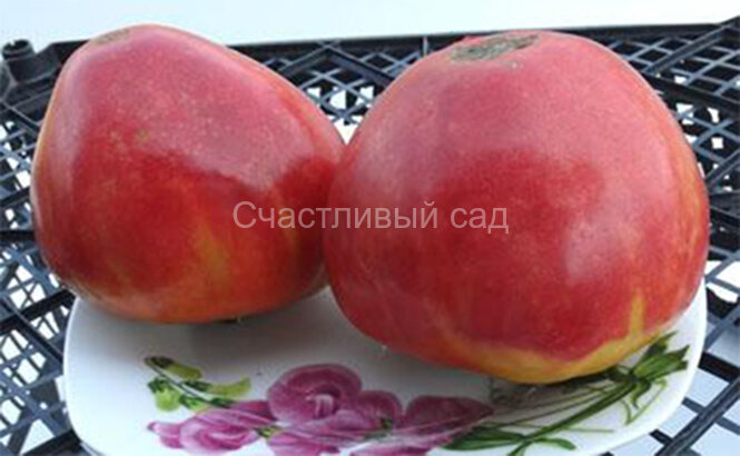 Бычий мёд Бычий мёд