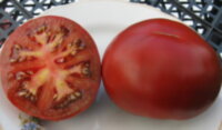 Черное яблоко