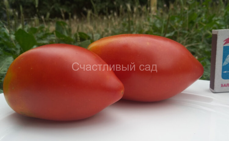 Подсинские большие Подсинские большие