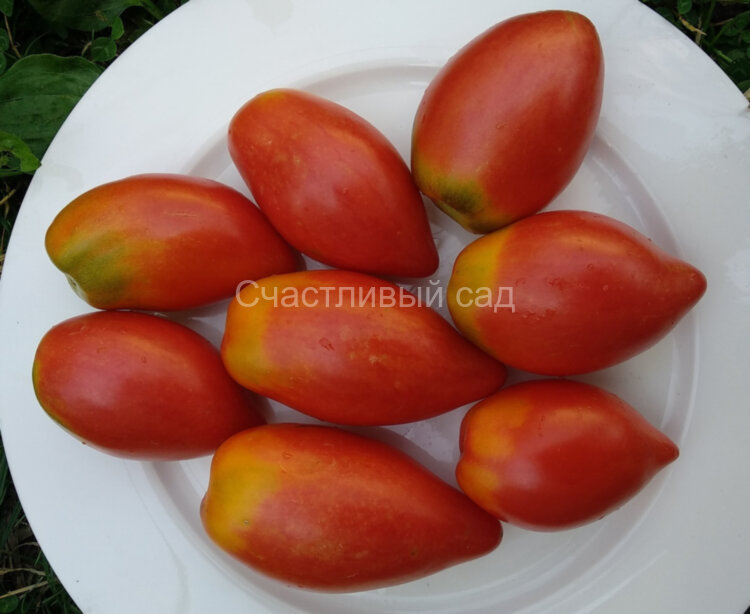Сливка гурман красная Сливка гурман красная