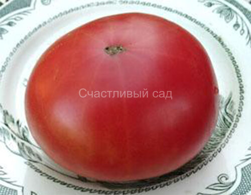 Malinowy 1955 (Розовый 1955) Malinowy 1955 (Розовый 1955)