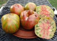 Pineapple zebra (Ананасная зебра)
