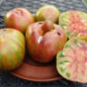 Pineapple zebra (Ананасная зебра) Pineapple zebra (Ананасная зебра)