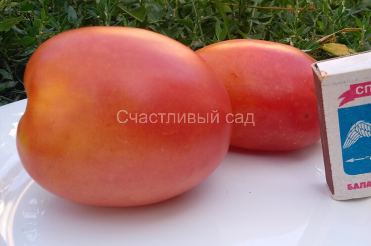 Солдатово Солдатово