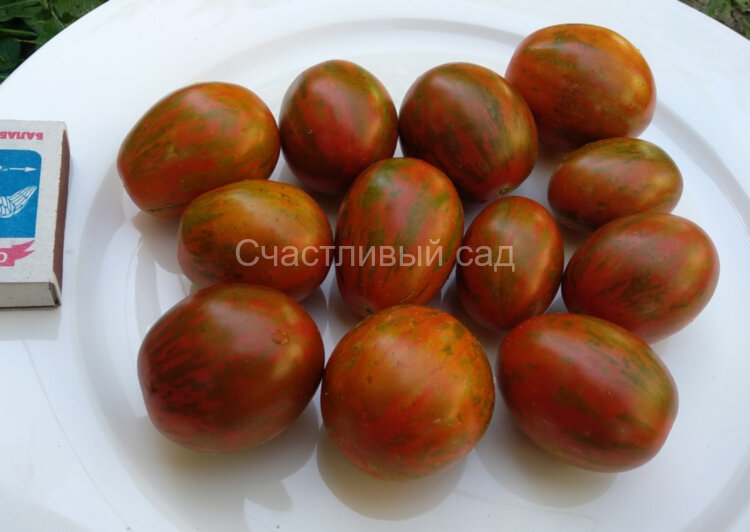 Супер экзотика Супер экзотика
