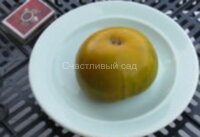 Эхо