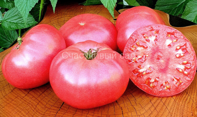 Strawberry Lemonade Dwarf (Гном Клубничный Лимонад) Strawberry Lemonade Dwarf (Гном Клубничный Лимонад)