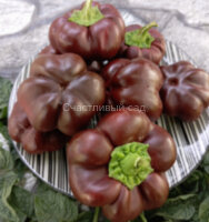 Перец Tomatenpaprika chocolate (Томатный шоколадный перец)