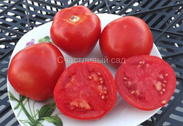 Семь гномов Семь гномов