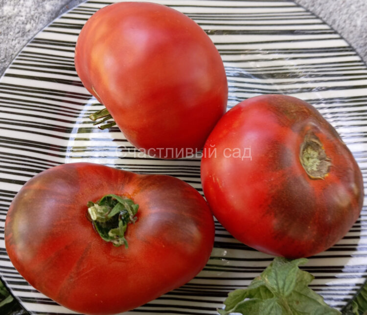 Chupa Chups red (Чупа Чупс красный) Chupa Chups red (Чупа Чупс красный)