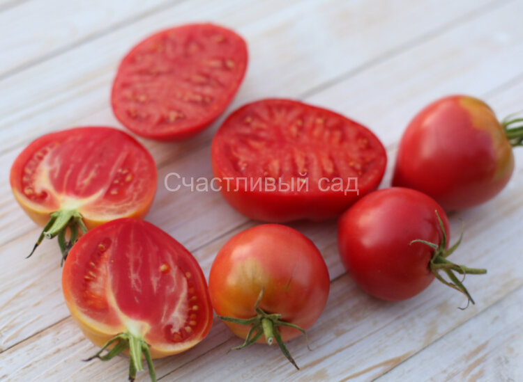 Каменное сердце Каменное сердце