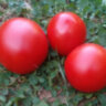 Clare Valley Red (Гном Красная Долина Клэр) Clare Valley Red (Гном Красная Долина Клэр)