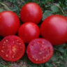 Clare Valley Red (Гном Красная Долина Клэр) Clare Valley Red (Гном Красная Долина Клэр)